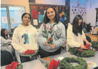 Screenshot 2026-02-13 234556