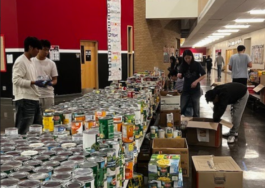 Screenshot 2026-02-13 234828